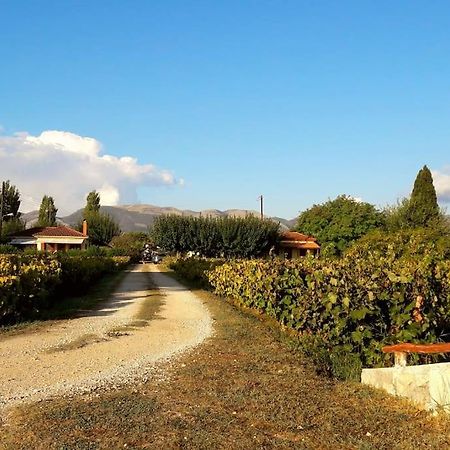 Authentic Country House In Zakynthos Ambelokipoi  Buitenkant foto