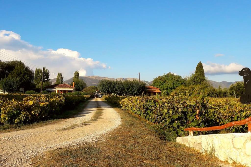 Authentic Country House In Zakynthos Ambelokipoi  Buitenkant foto